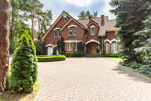 Best Best Driveway Pavers  in Lena, IL