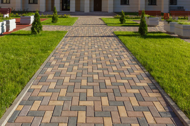 Best Best Driveway Pavers  in Lena, IL